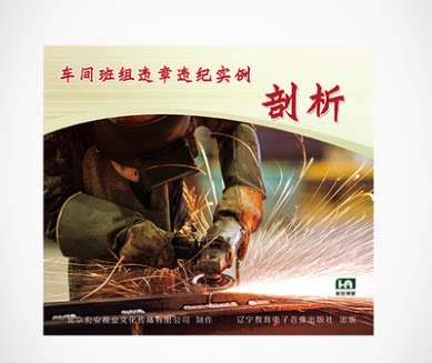 2017年安全生产月 车间班组违章违纪实例剖析 2DVD - 封面