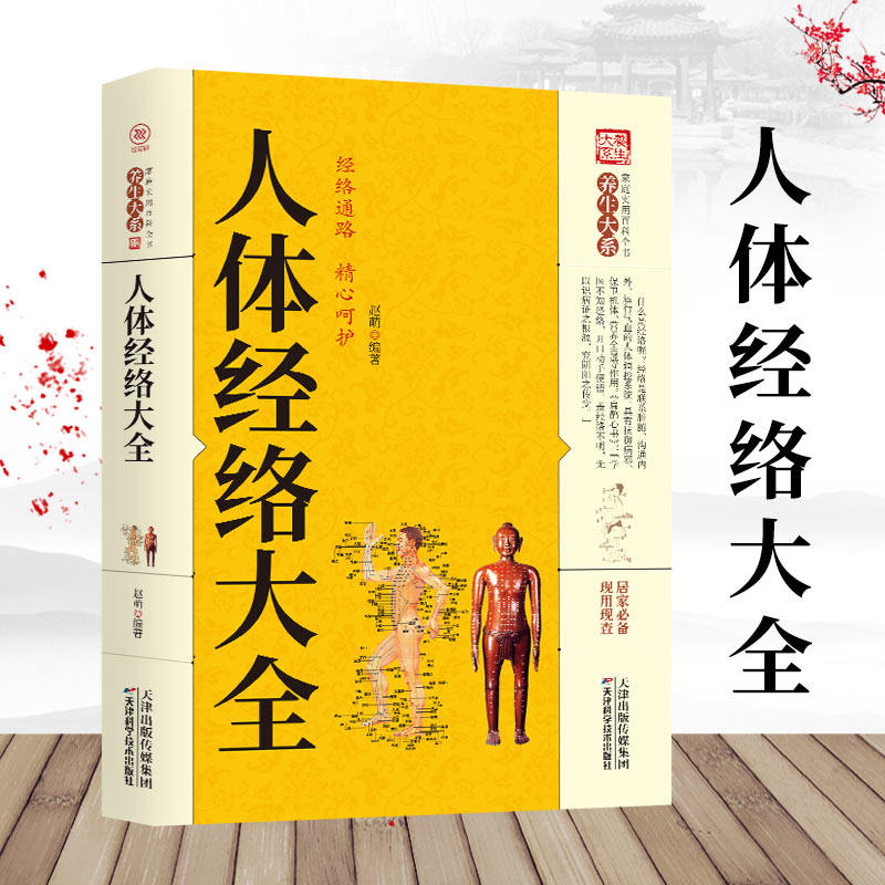 HY正版现货养生大系人体经络大图解手法经络穴位快速记忆身经络书籍零基础入门学会手法筋络中医养生经络图册使用手册常见病