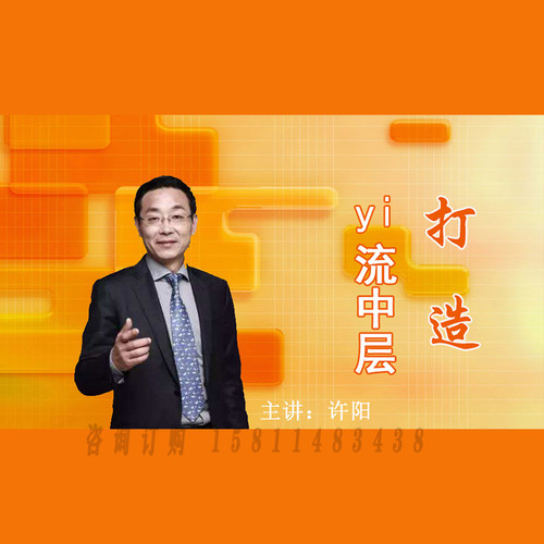 正版包票 许阳 打造一流中层视频课程非DVD