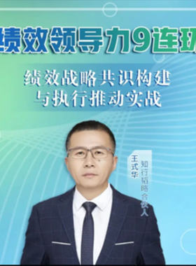绩效领导力9连环网络视频课程非DVD 王式华前沿2