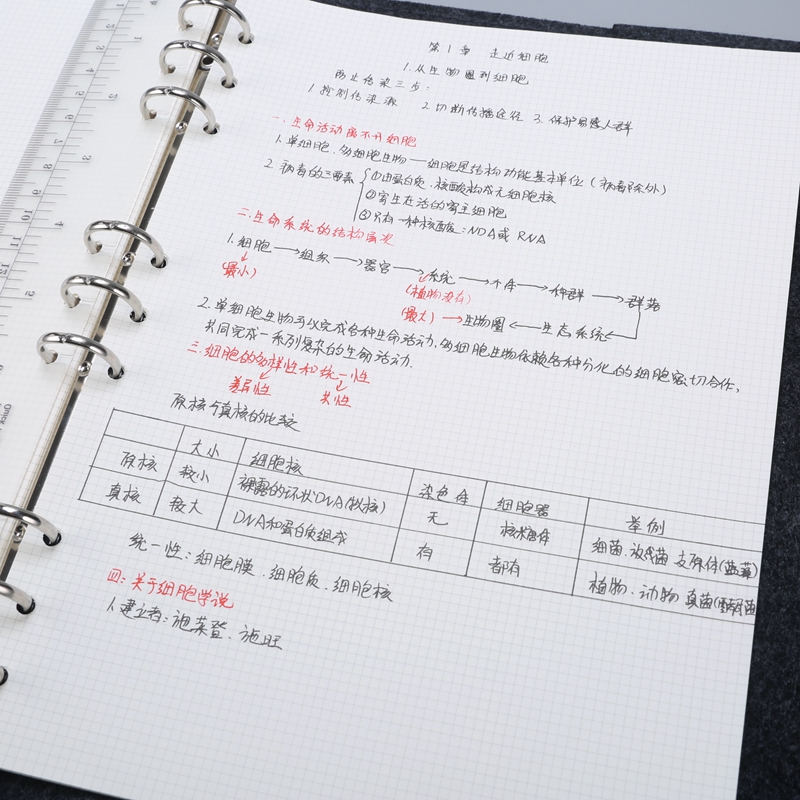 B5九孔毛毡活页本笔记本课堂笔记网格本康奈尔本 大号方格记事本