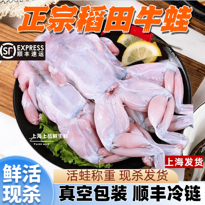 【稻田牛蛙】新鲜牛蛙鲜活现杀 上海顺丰冷链 冰鲜牛蛙肉商用火锅