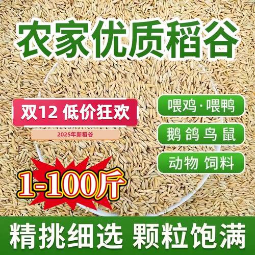 50斤稻谷10斤20斤喂鸡长粒稻谷喂鸭鹅仓鼠钓鱼饲料2025年新批发