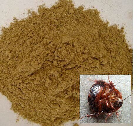 土元粉地鳖虫粉食用虫粉土元厂家直销500g包邮