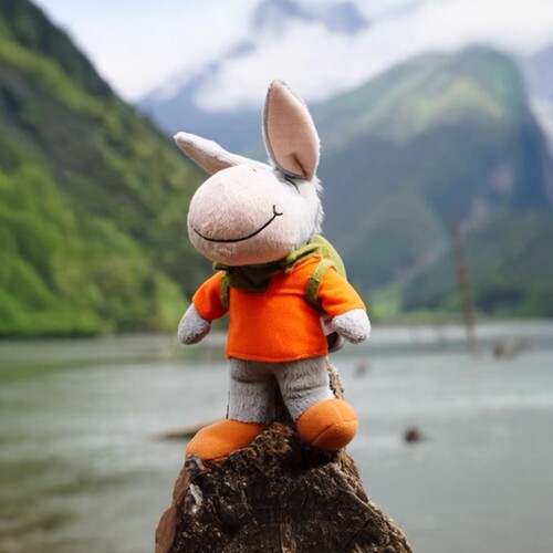 户外小驴公仔驴友吉祥标志年会