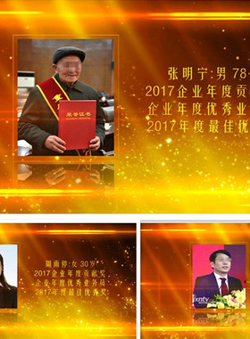 企业公司ed颁奖人物先进个人颁奖典礼视频edius模板