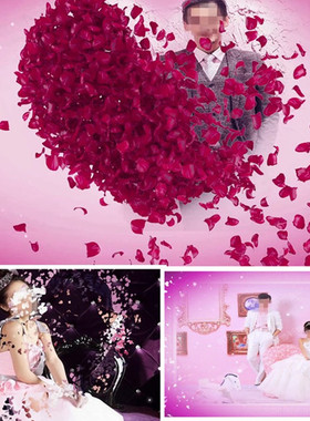 63edius礼婚庆迎宾开场片头模板结婚庆典视频婚礼片头MV婚纱照