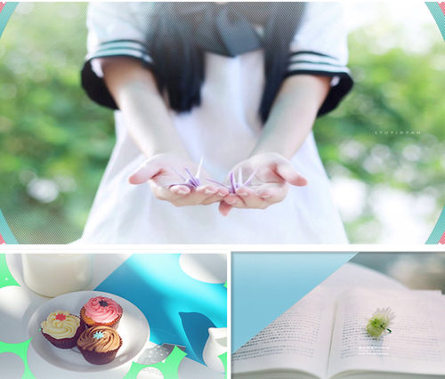 H11edius小清新模板温馨唯美爱情婚礼暖场开场结婚照ed模板