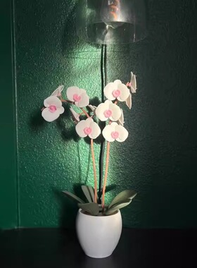 旋转芳香兰花叶精油香炉散香器