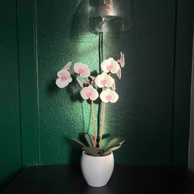 旋转芳香兰花叶精油香炉散香器