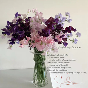 日本进口花材各色香豌豆有香味仙气鲜花速递鲜切花10支新品上市