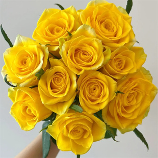 精品花材契机黄色玫瑰花鲜切花高端鲜花全国速递家庭水培插花10支