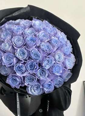 厄瓜多尔高端进口花材鲜花BLUE LAVANDER蓝心薰衣草玫瑰花10支