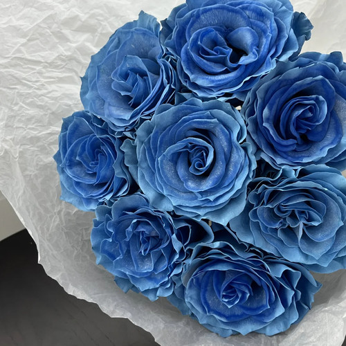 厄瓜多尔进口蓝铃花玫瑰