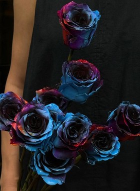 厄瓜多尔进口高端鲜花速递Starry nebula星空星云玫瑰花10支