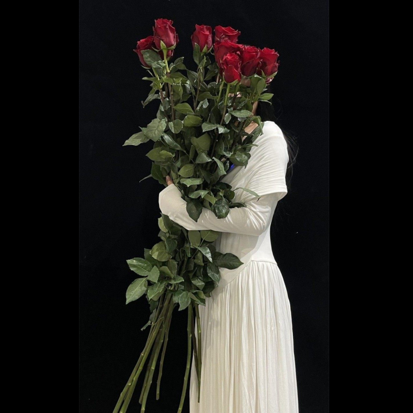 厄瓜多尔进口权杖高脚玫瑰花Explorer探险家枪炮1米高鲜切花10支,鲜花速递/花卉仿真/绿植园艺,花材,淘宝优惠券,粉丝福利购,淘宝优惠卷