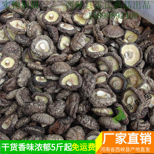 菇世宝西峡a级香菇特产香味浓郁