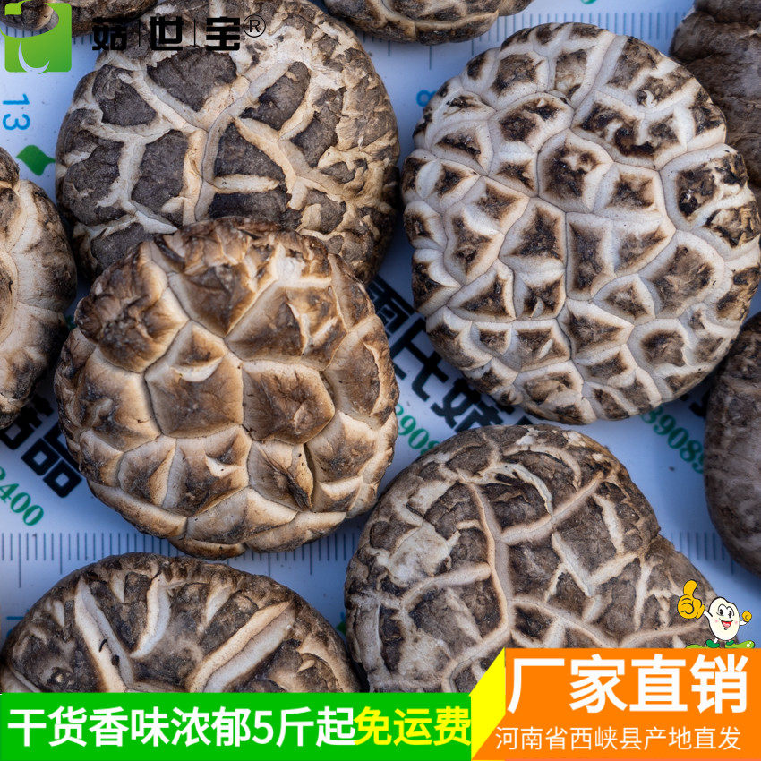 西峡花菇香味浓郁厂家直销