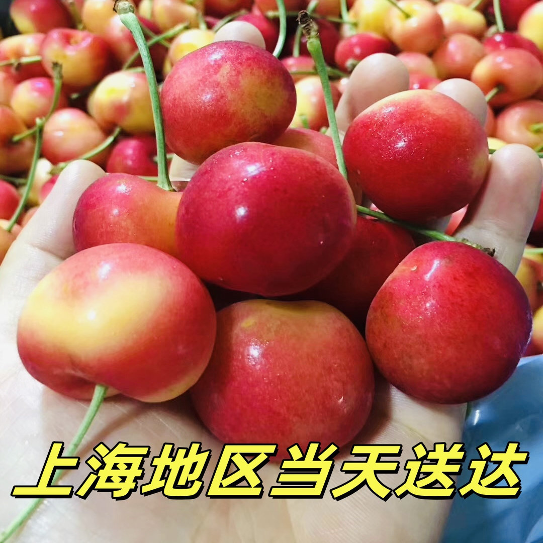 Rainier车厘子空运金雷尼尔智利