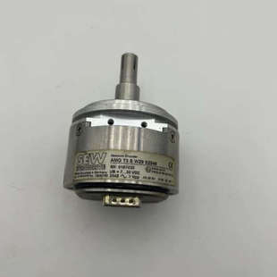 W29 功能正 器 实照现货 S2048编码 议价AMG