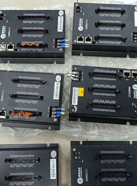 议价清理 雷赛EM96DX-C1总线IO扩展模块