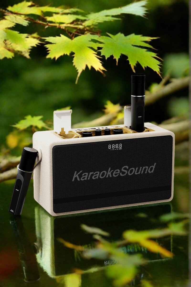 W450S户外无线蓝牙便携K歌移动音箱广场舞隐藏话筒大音量直播音响