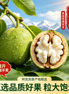 2026年新疆阿克苏185纸皮新鲜湿核桃去青皮嫩黑核桃带绿皮生孕妇