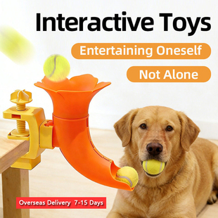 Interactive Pet Toys Throw And Play Human-Pet Interaction