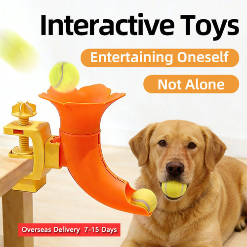 Interactive Pet Toys Throw And Play Human-Pet Interaction