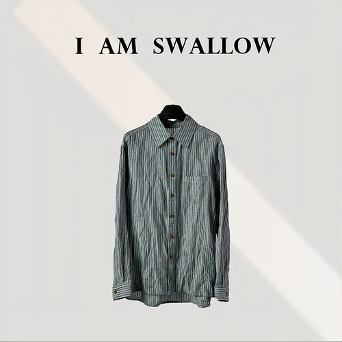 【A/M Swallow】亚麻条纹长袖衬衣W-1277#700