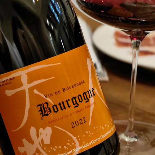 法国天地人勃艮第黑皮诺干红