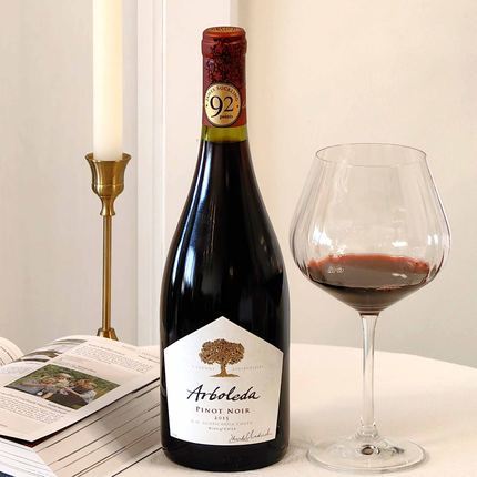 92+高分黑皮诺智利名庄Arboleda Pinot Noir2016年份干红葡萄窖主