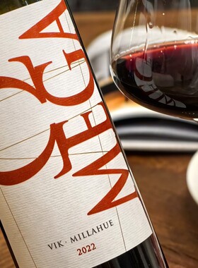 少量！智利膜拜酒庄Vik Millahue Omega维克欧米加干红 葡萄窖主