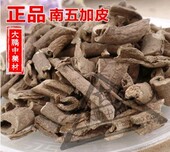 中药材 包邮 南五加皮 五谷皮红五加皮南五加皮500克