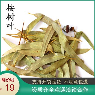 中药材 桉树叶 桉叶 小桉树大叶 尤加利树叶 大叶桉 500克