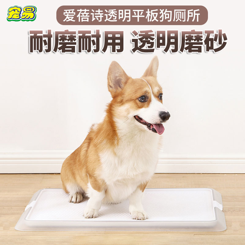 爱蓓诗狗狗厕所透明款大号柯基博美泰迪狗便盆尿盆超大平板犬用