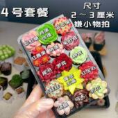 3厘米15颗多肉植物组合多肉带托盘 套餐2 4号套餐