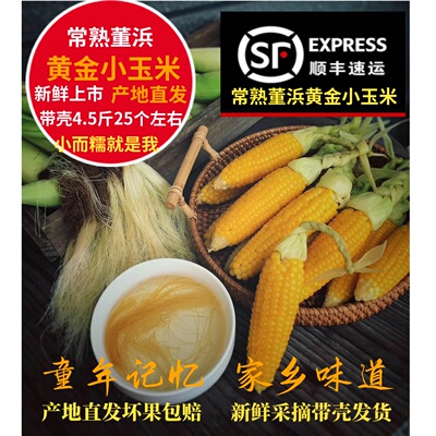 常熟董浜黄金小玉米新鲜现摘香糯