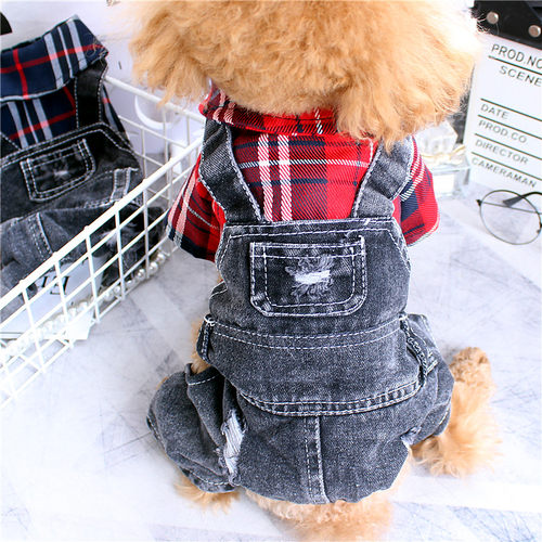 宠物牛仔四脚裤泰迪博美雪纳瑞