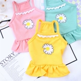 Домашняя кошка в летнем тонкая слинг