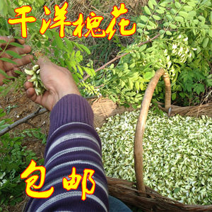 洋槐花干野生特价24年新河南特产槐花麦饭饼新鲜刺槐花茶500克