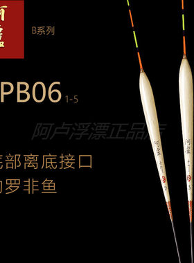 阿卢浮漂lpb06芦苇加粗醒目