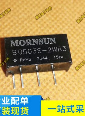 B0503S-1WR2 B0503S-2WR3 隔离模块输入输出3V,0.3A 全新原装