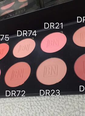 美国BN 8色眼影 腮红  正品
