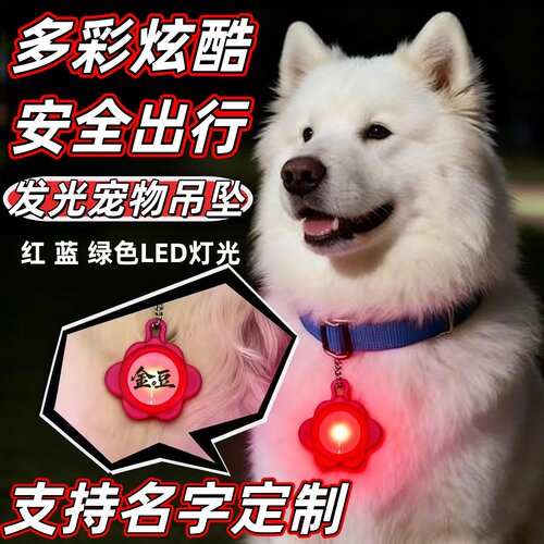 可充电夜行发光宠物防丢吊坠