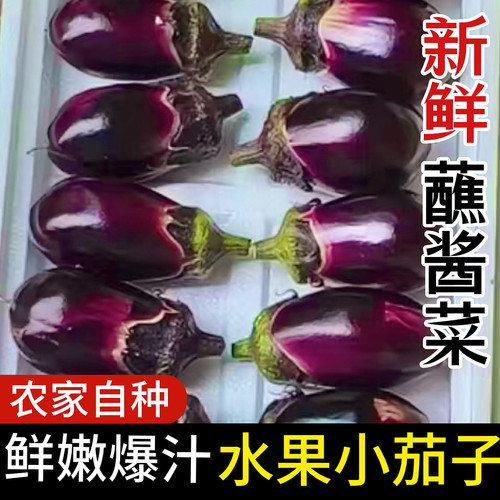 现摘东北水果圆茄农家自种新鲜紫皮茄子薄皮小茄子蘸酱菜便宜包邮