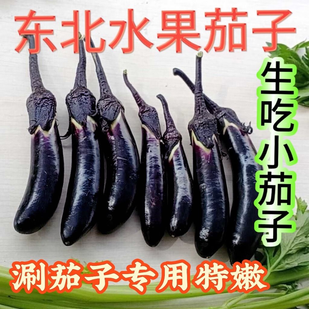 东北新鲜迷你水果小紫裤长茄子生吃蘸酱菜农家自种蒜茄子健美菜