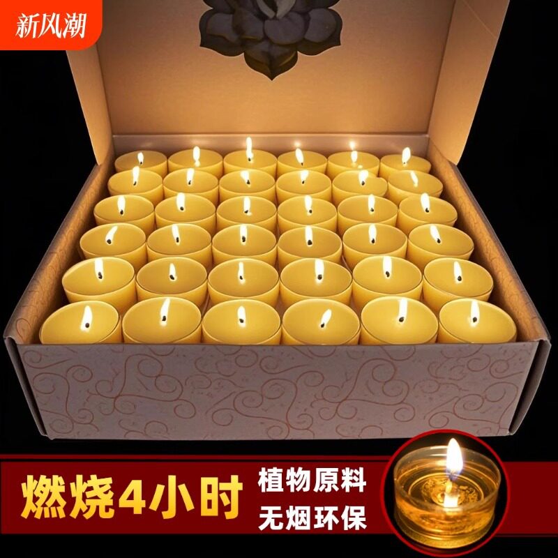 供佛灯8小时无烟酥油灯100粒香薰蜡烛
