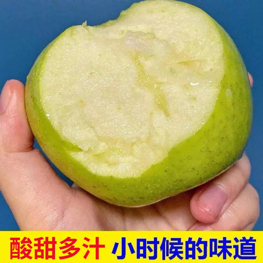 现摘大沙河青苹果酸甜脆精选大果