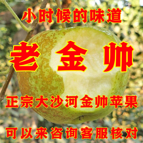 这个是正宗的大沙河老品种金帅